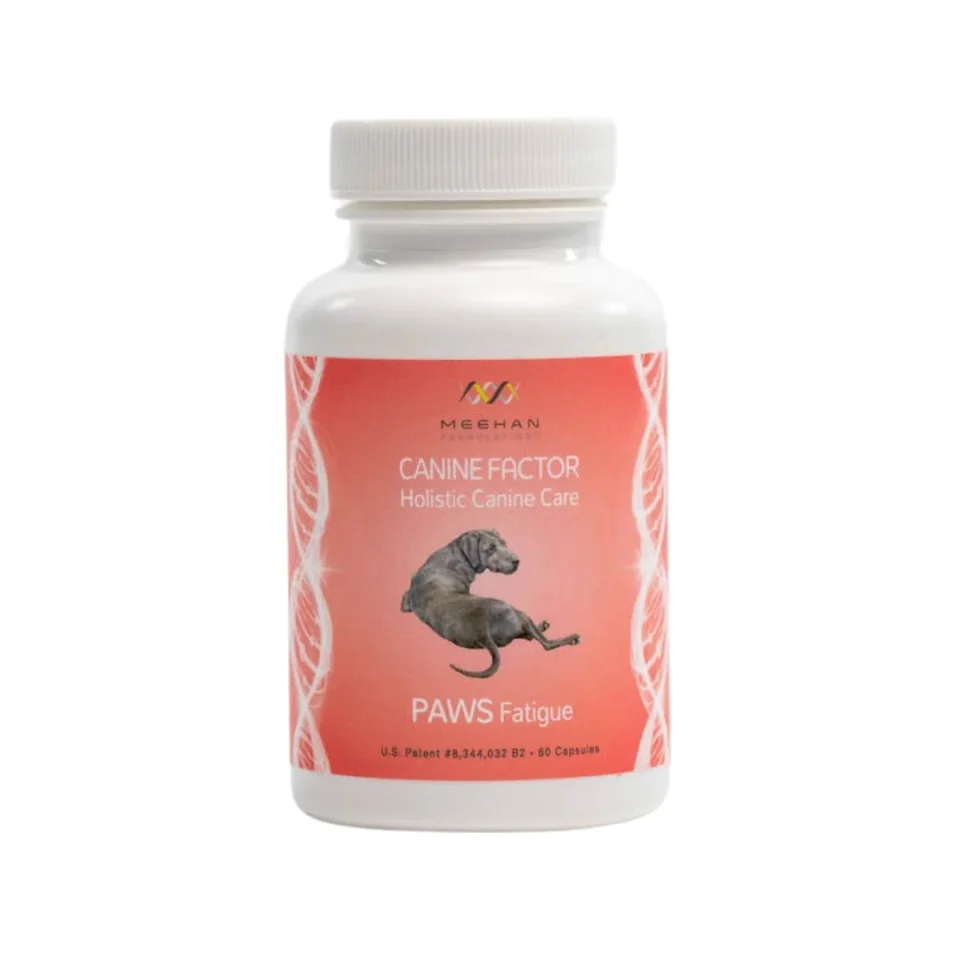 Canine Factor | PAWS Fatigue | Boost Your Pets Energy