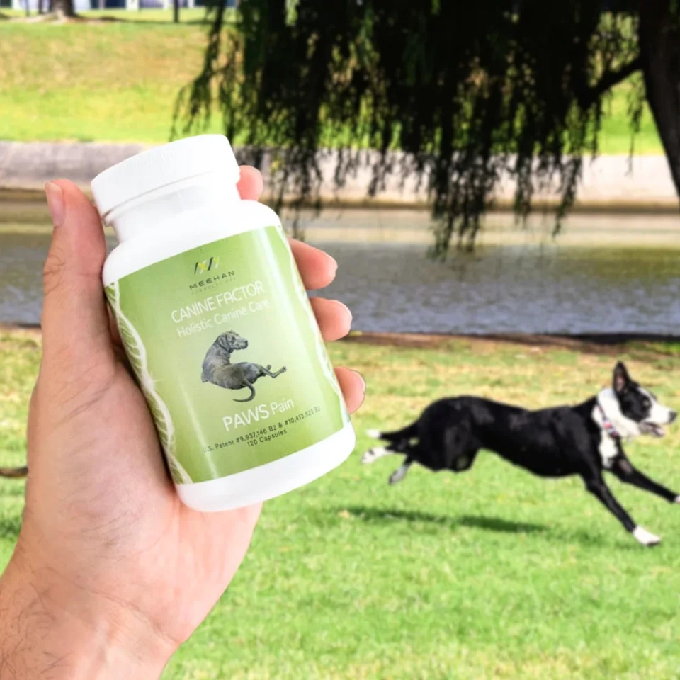 Canine Factor | PAWS Pain | Pain Supplements For Dogs - Image 2