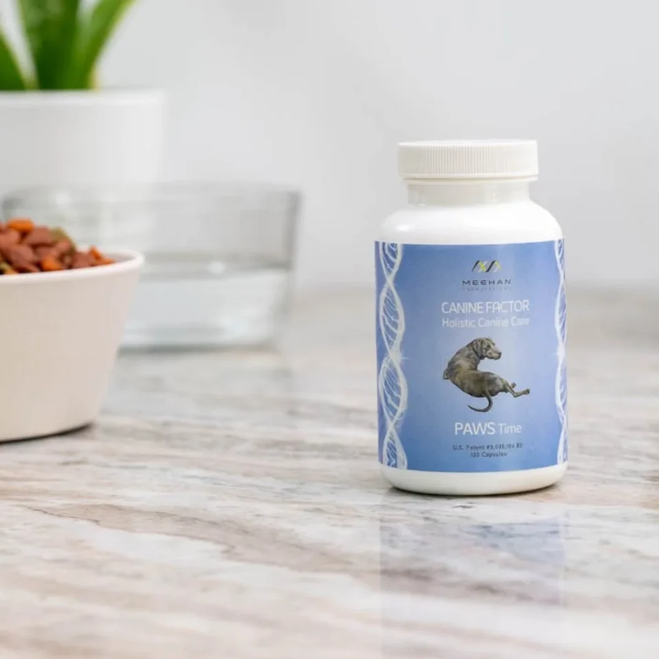 Holistic Canine Care PAWS Time-Antioxidant - Image 2