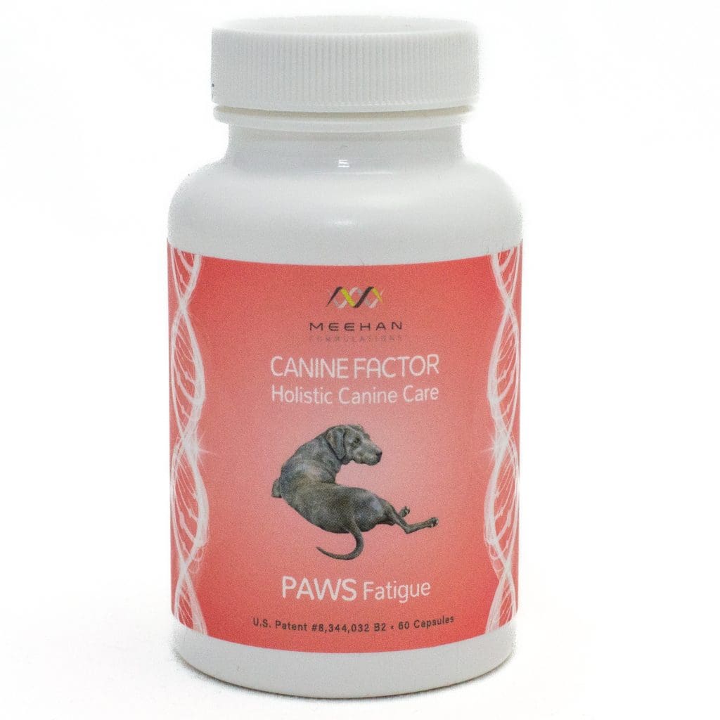 Paws fatigue pet supplement red label