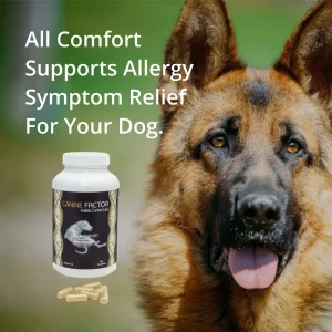 Big dog with Allergy formula bottle