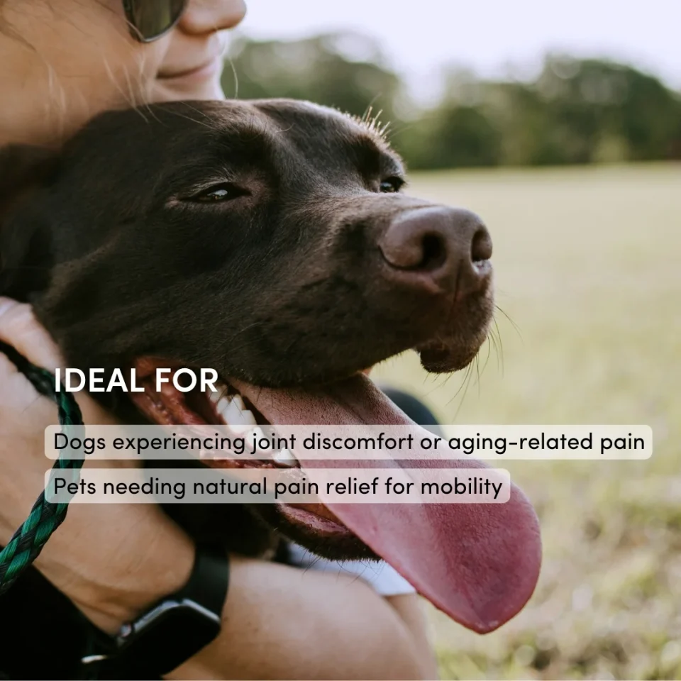Canine Factor | PAWS Pain | Pain Supplements For Dogs - Image 3