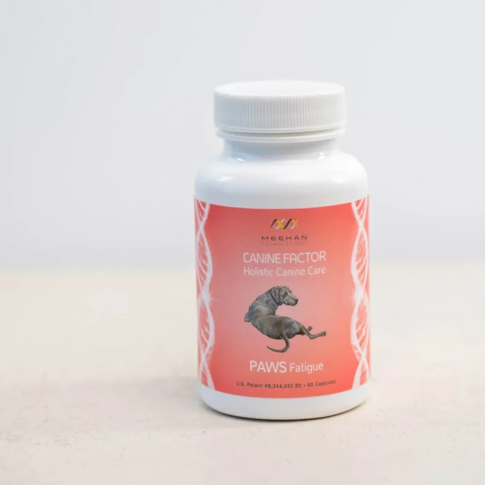 Canine Factor | PAWS Fatigue | Boost Your Pets Energy - Image 4
