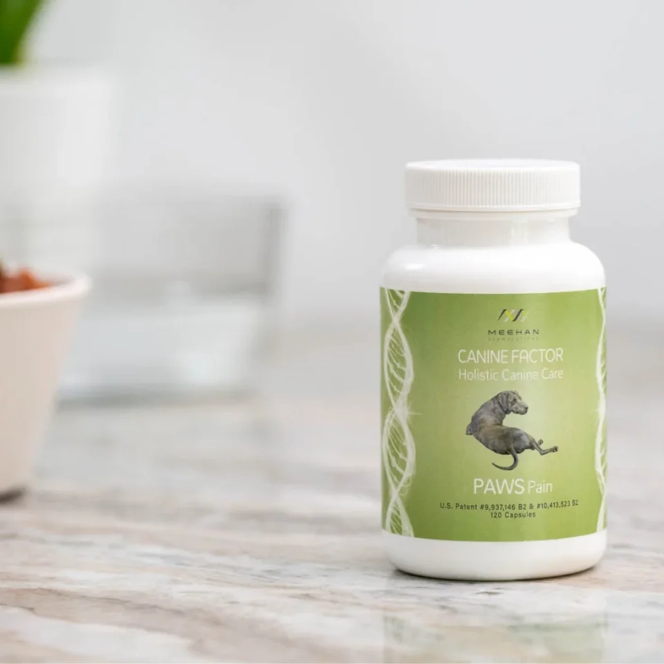 Canine Factor | PAWS Pain | Pain Supplements For Dogs - Image 4