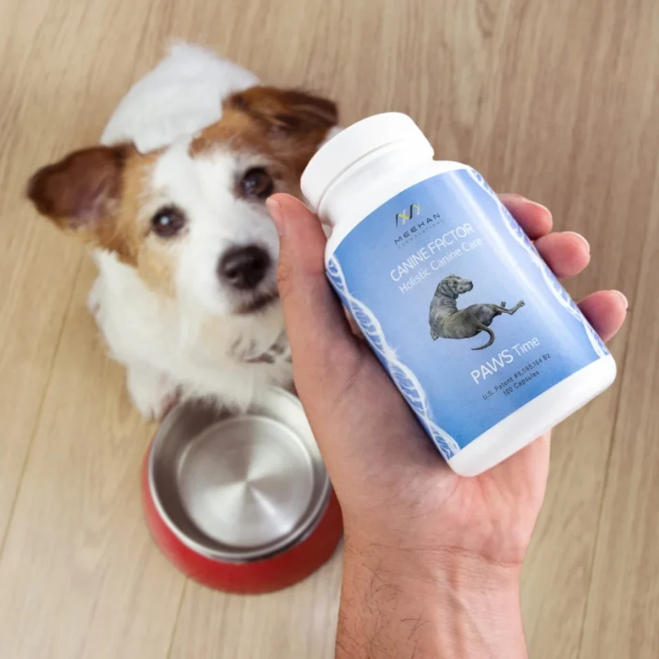 Holistic Canine Care PAWS Time-Antioxidant - Image 4