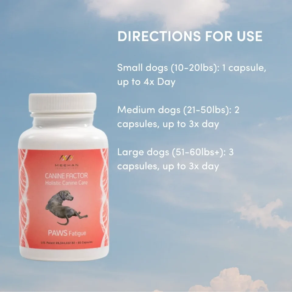 Canine Factor | PAWS Fatigue | Boost Your Pets Energy - Image 5