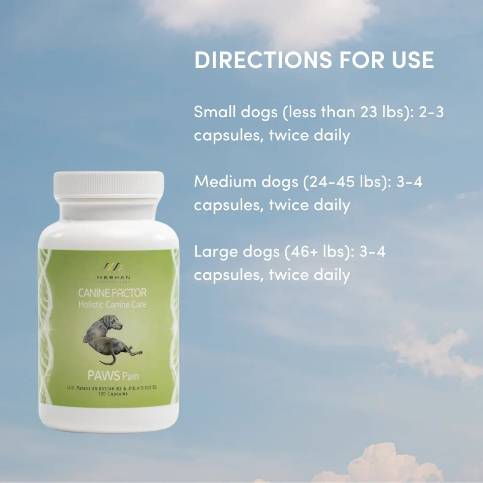 Canine Factor | PAWS Pain | Pain Supplements For Dogs - Image 5