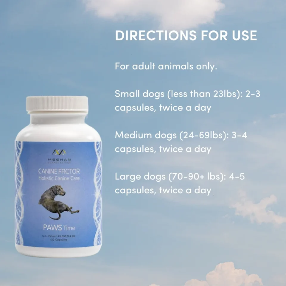 Holistic Canine Care PAWS Time-Antioxidant - Image 5